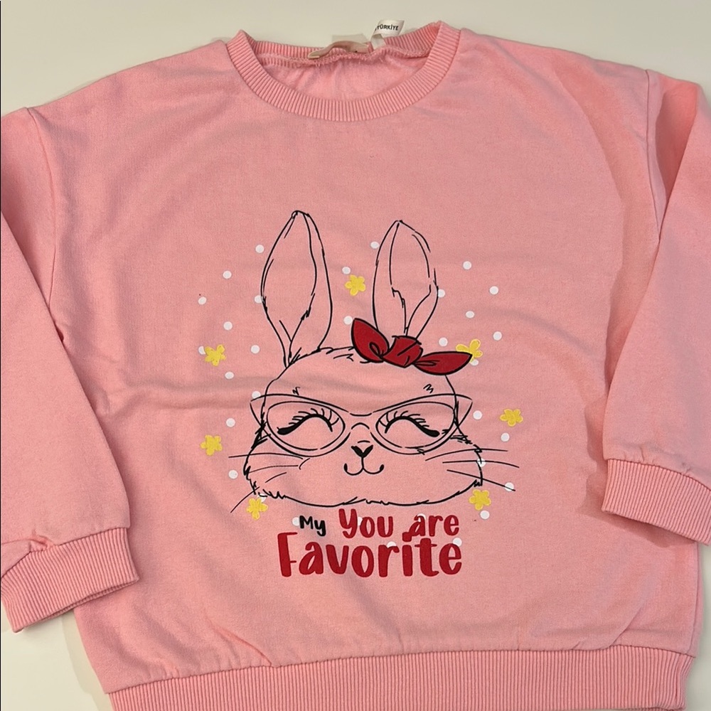 Pink Bunny Graphic Sweatshirt